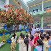 HĐNT-QUAN SÁT CÂY ĐIỆP LÀO-LÁ 1