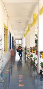 Phun thuốc hành lang khối chồi