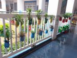 Góc thiên nhiên của bé