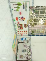 B3dc29a8835879062049
