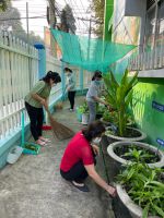 chăm sóc vườn thuốc nam