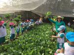 cô và bé cùng thu hoạch rau mà mình thích