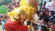 Bé thích thú khi được chạm vào lân