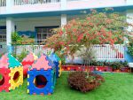 Hoa điệp lào nở rực