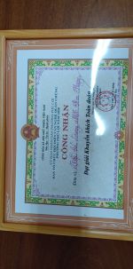 Giải khuyến khích toàn đoàn