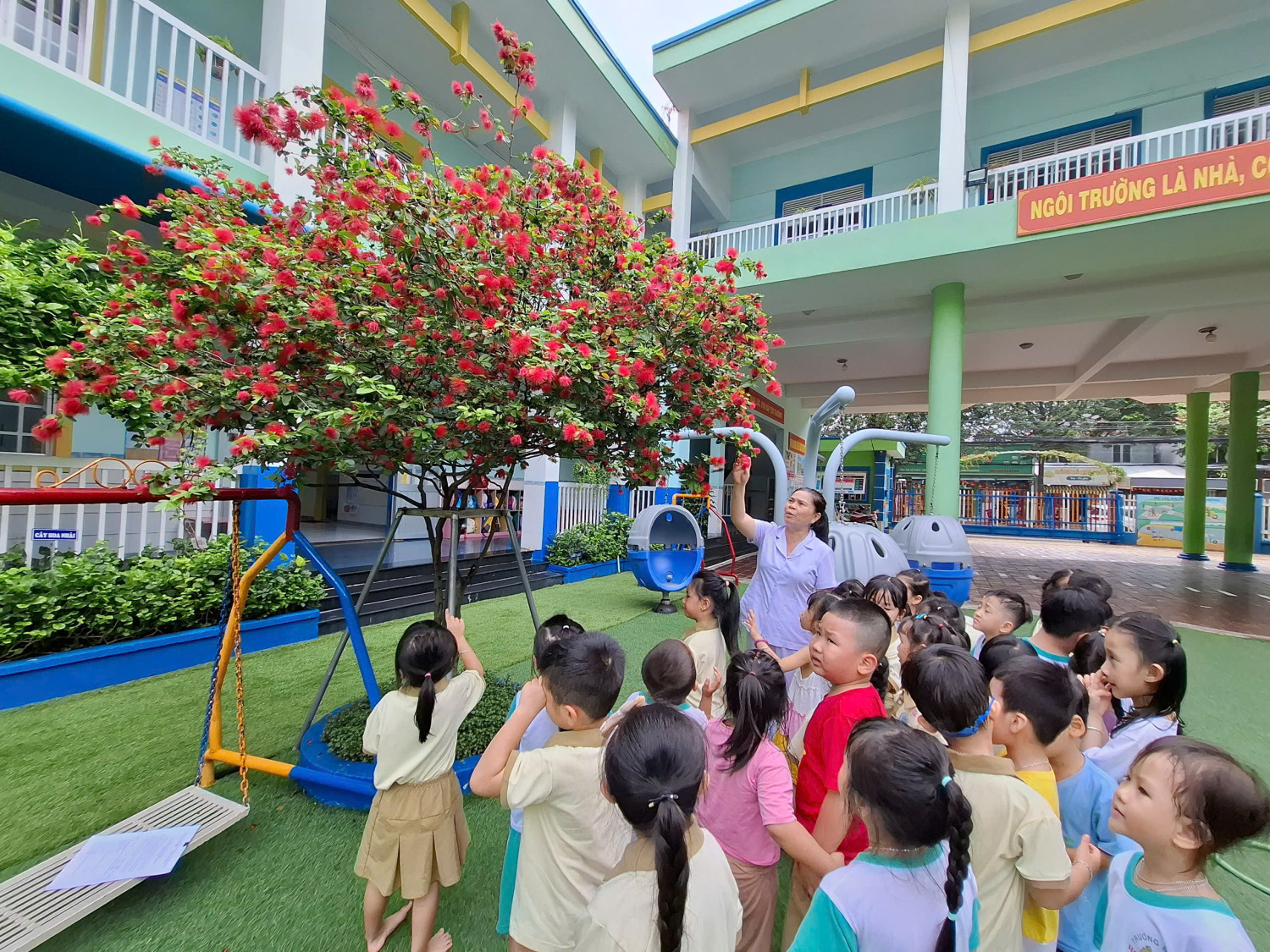 HĐNT-QUAN SÁT CÂY ĐIỆP LÀO-LÁ 1